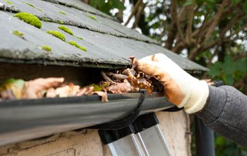 gutter cleaning Woodhaven, Fife